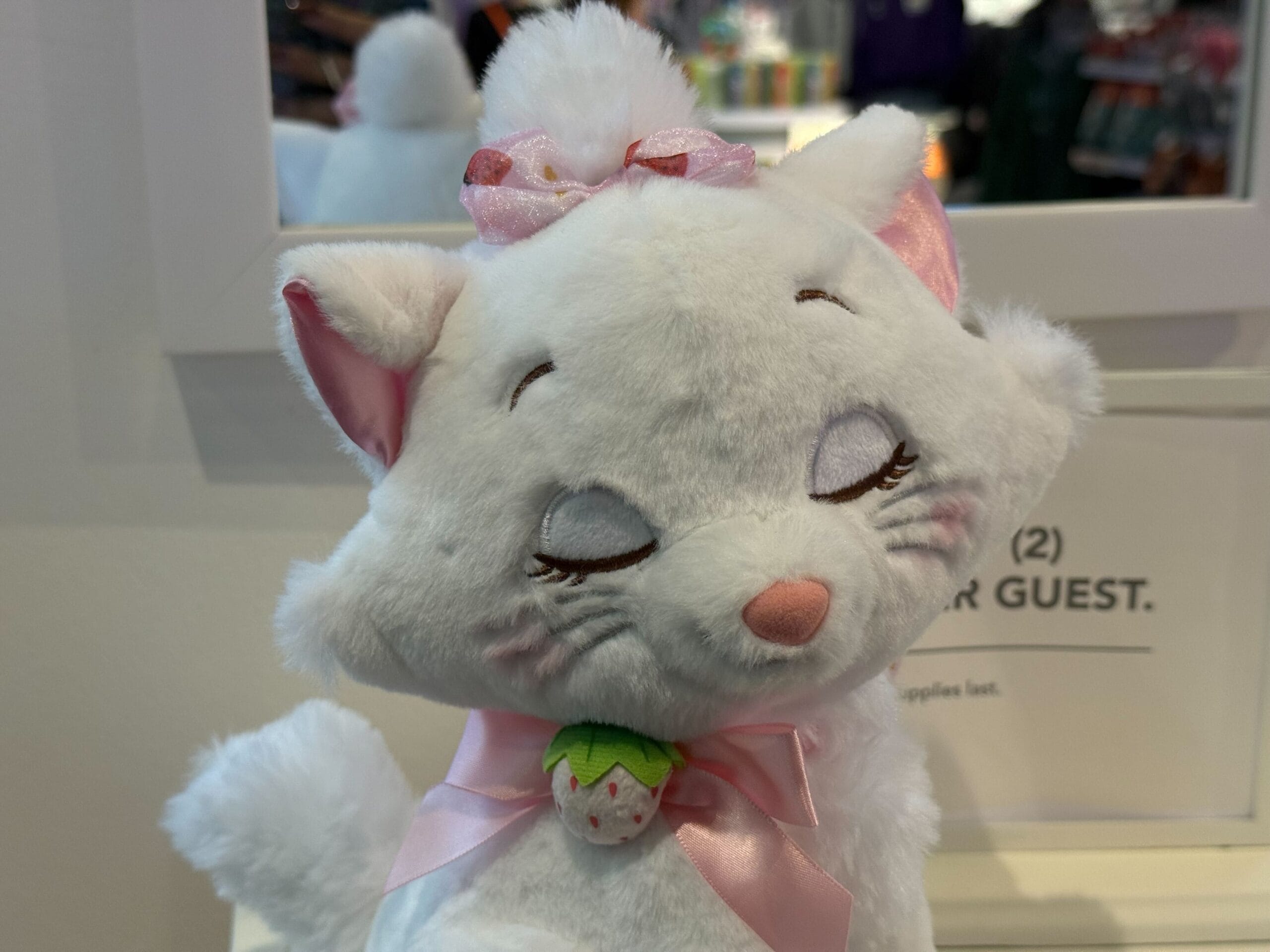 a picture of Marie's strawberry plush's close up