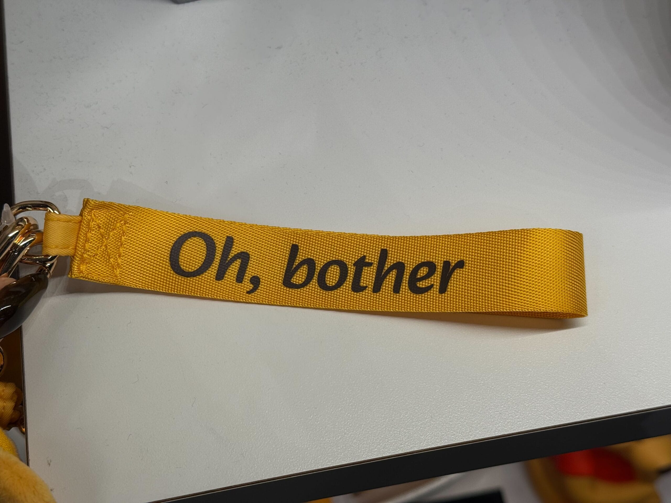 Winnie The Pooh Coin Purse strap