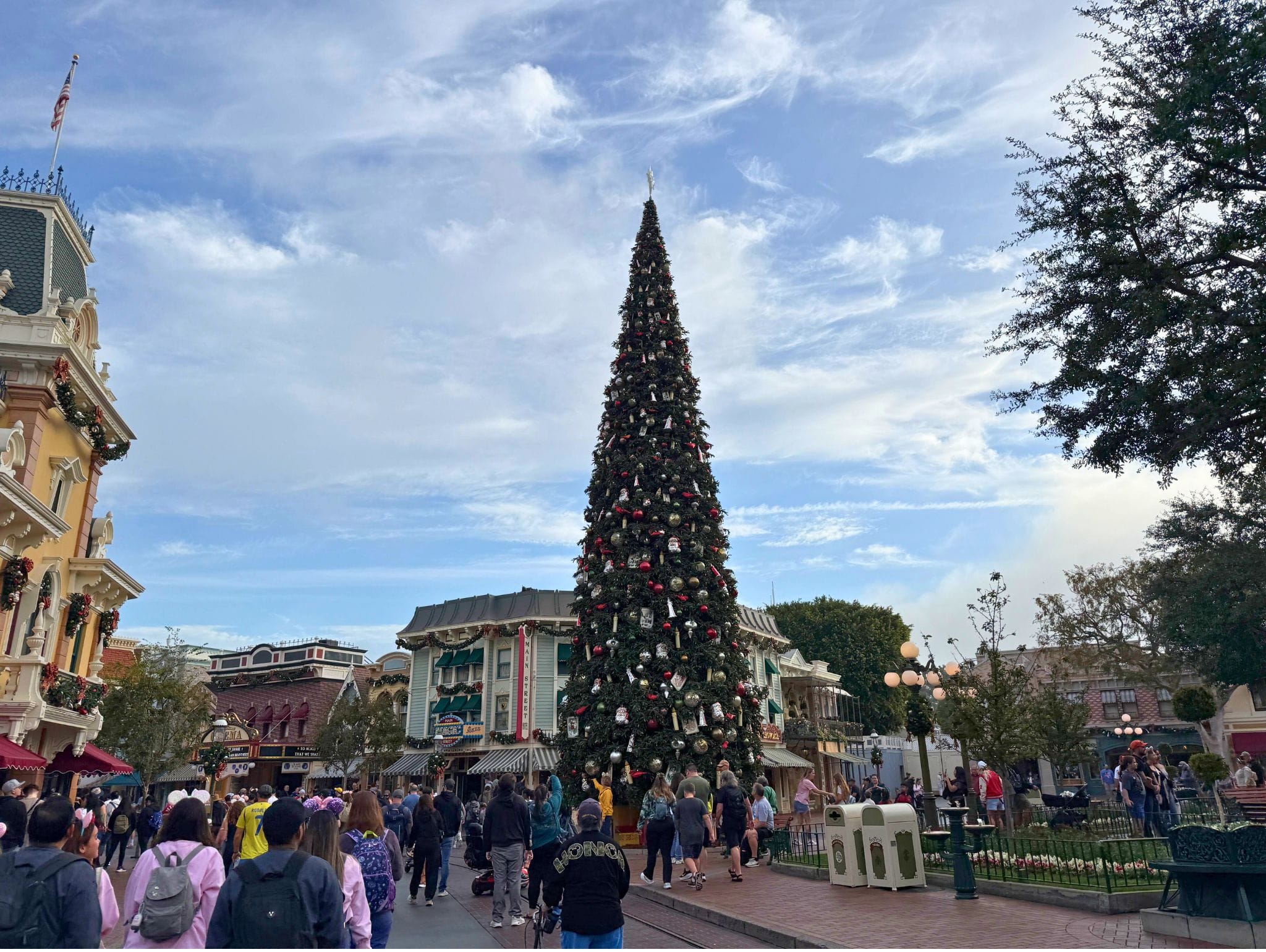 Disneyland Christmas Tree Arrives on Main Street U.S.A. For 2025 Holiday Season