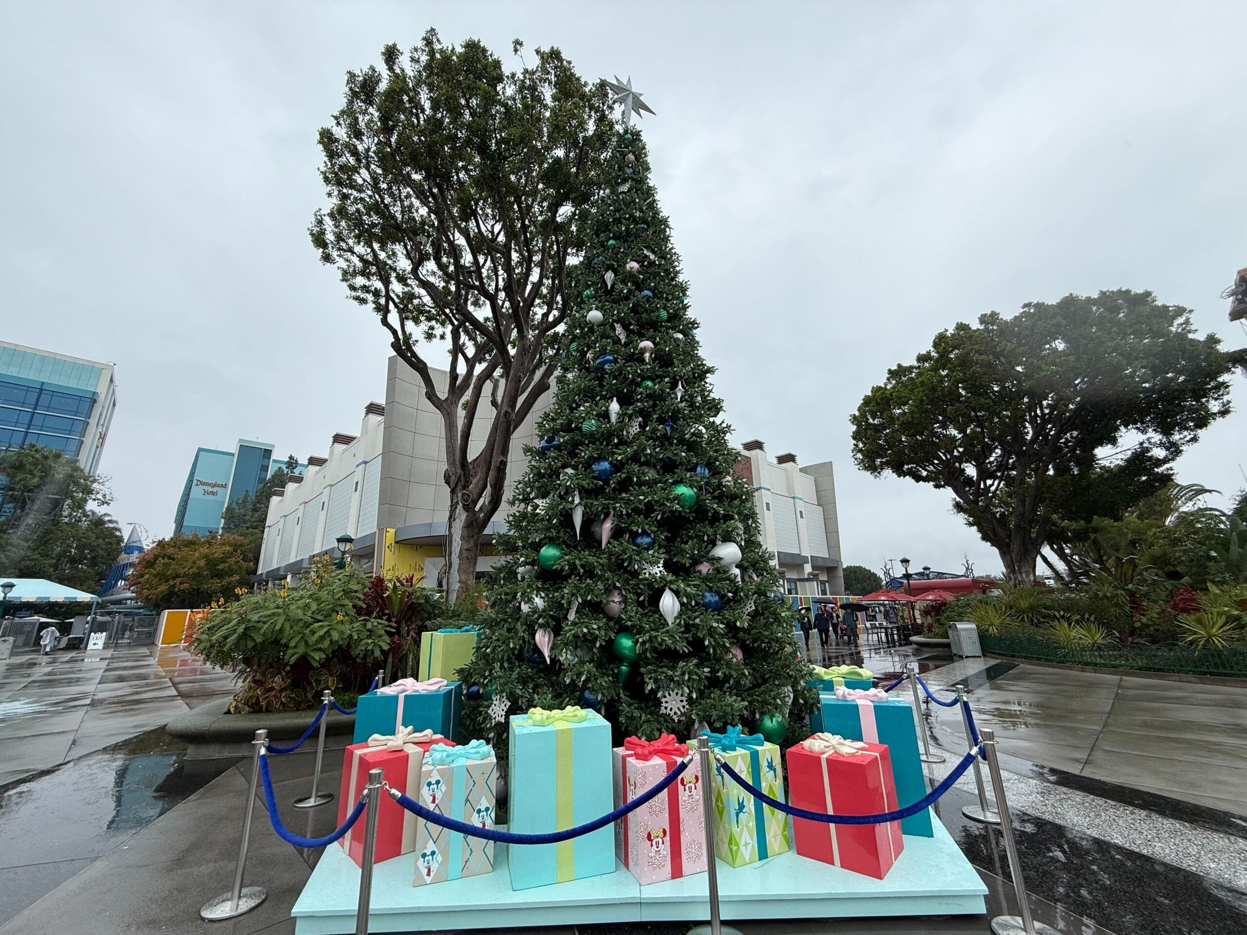 Greeting guests near Disneyland Hotel is a tall Christmas tree with white, blue, and green decorations. A silver star is on top.