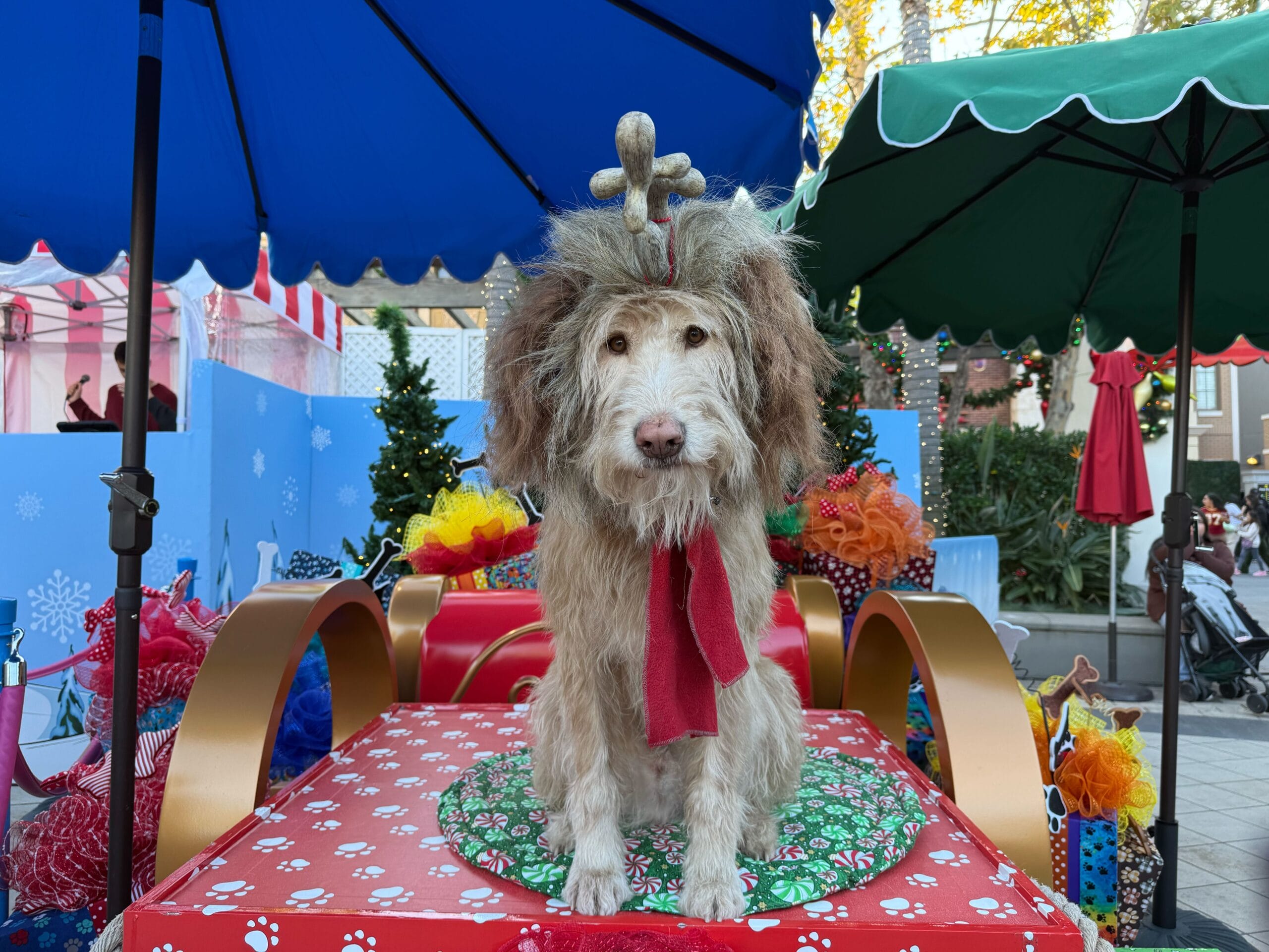 Grinchmas Character Meet and Greets at Universal Studios Hollywood