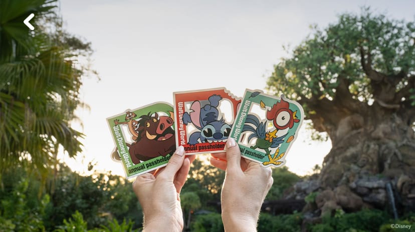 Three Annual Passholder Magnets Returning to Walt Disney World Next Month