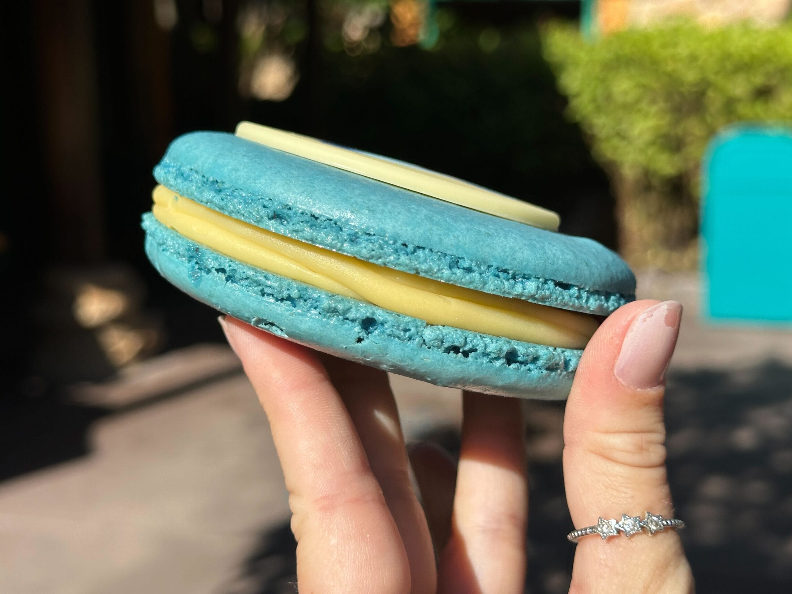 REVIEW: New Zootopia 2-Inspired Gary De'Snake Macaron at Disney's Animal Kingdom