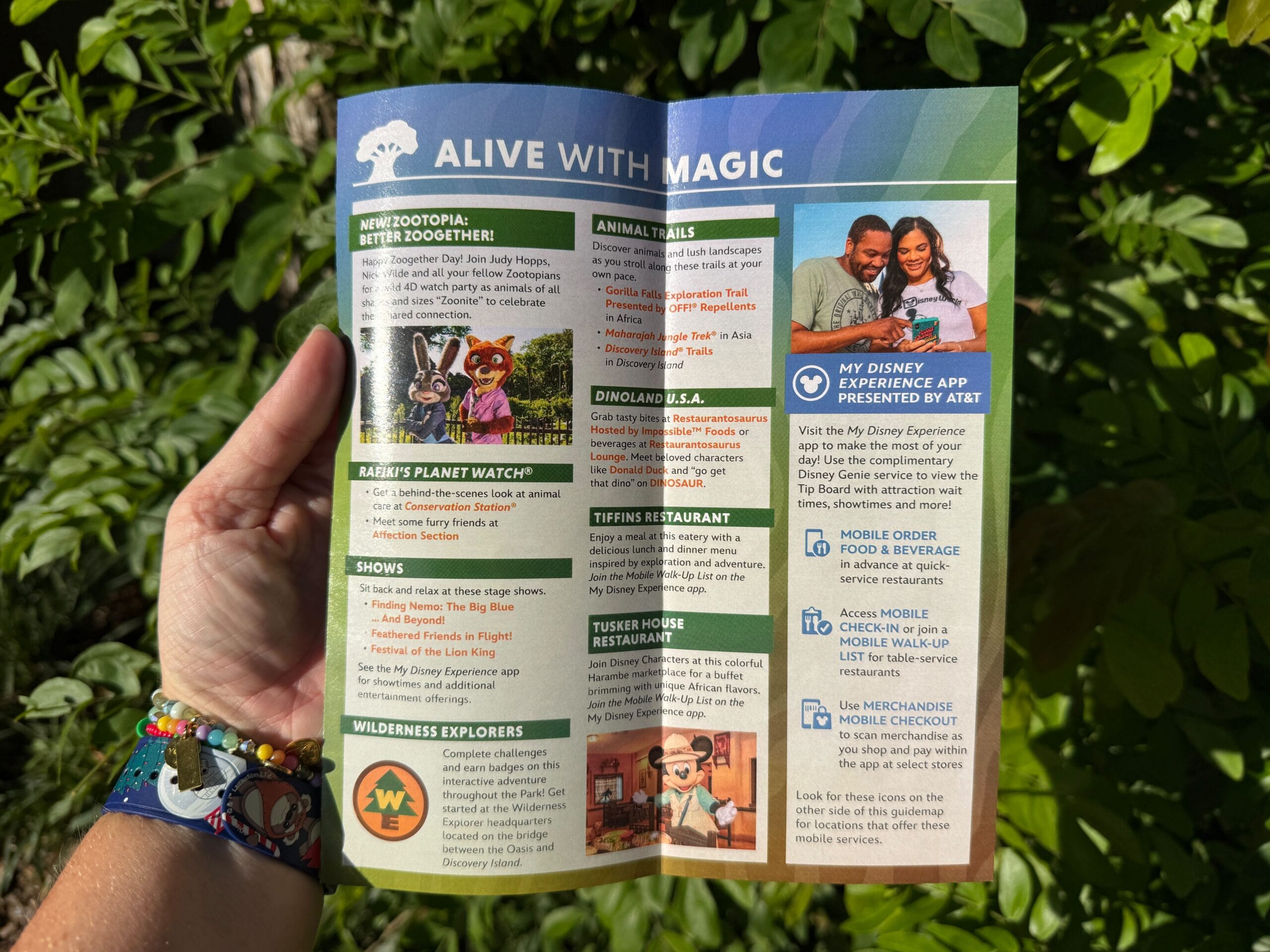 New Disney's Animal Kingdom Guidemap Featuring Zootopia: Better Zoogether