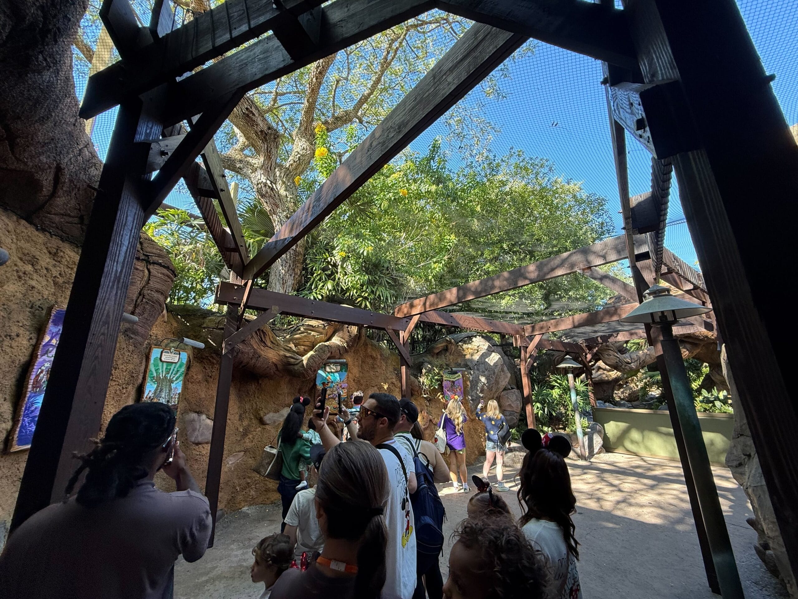 Guests gaze upward at animals or themed displays in a netted Disney park exhibit area with sunlight and trees overhead.