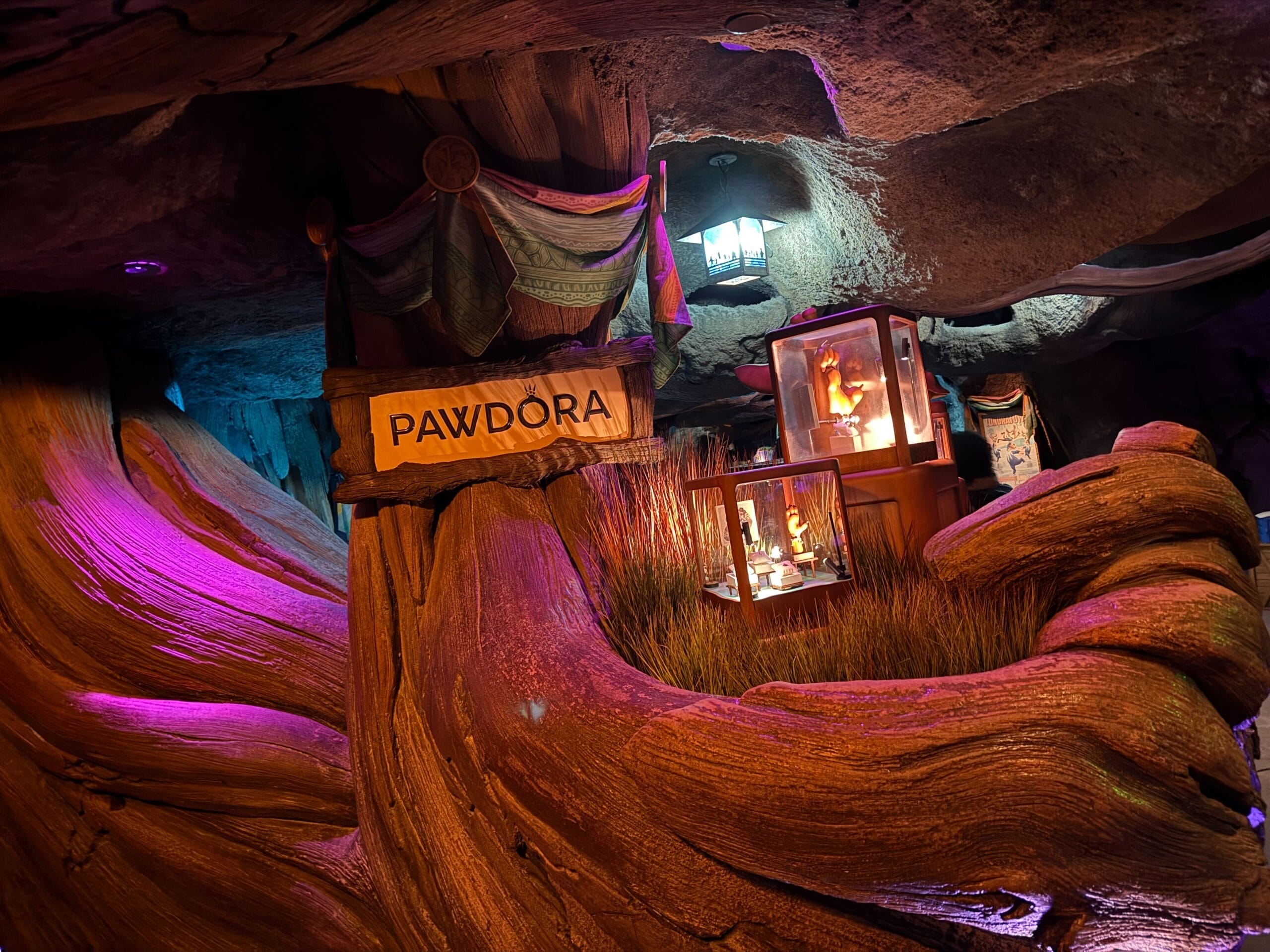 A wooden "PAWDORA" sign and display cases glow under purple-blue cave lighting, capturing Animal Kingdom's unique Pandora vibe.