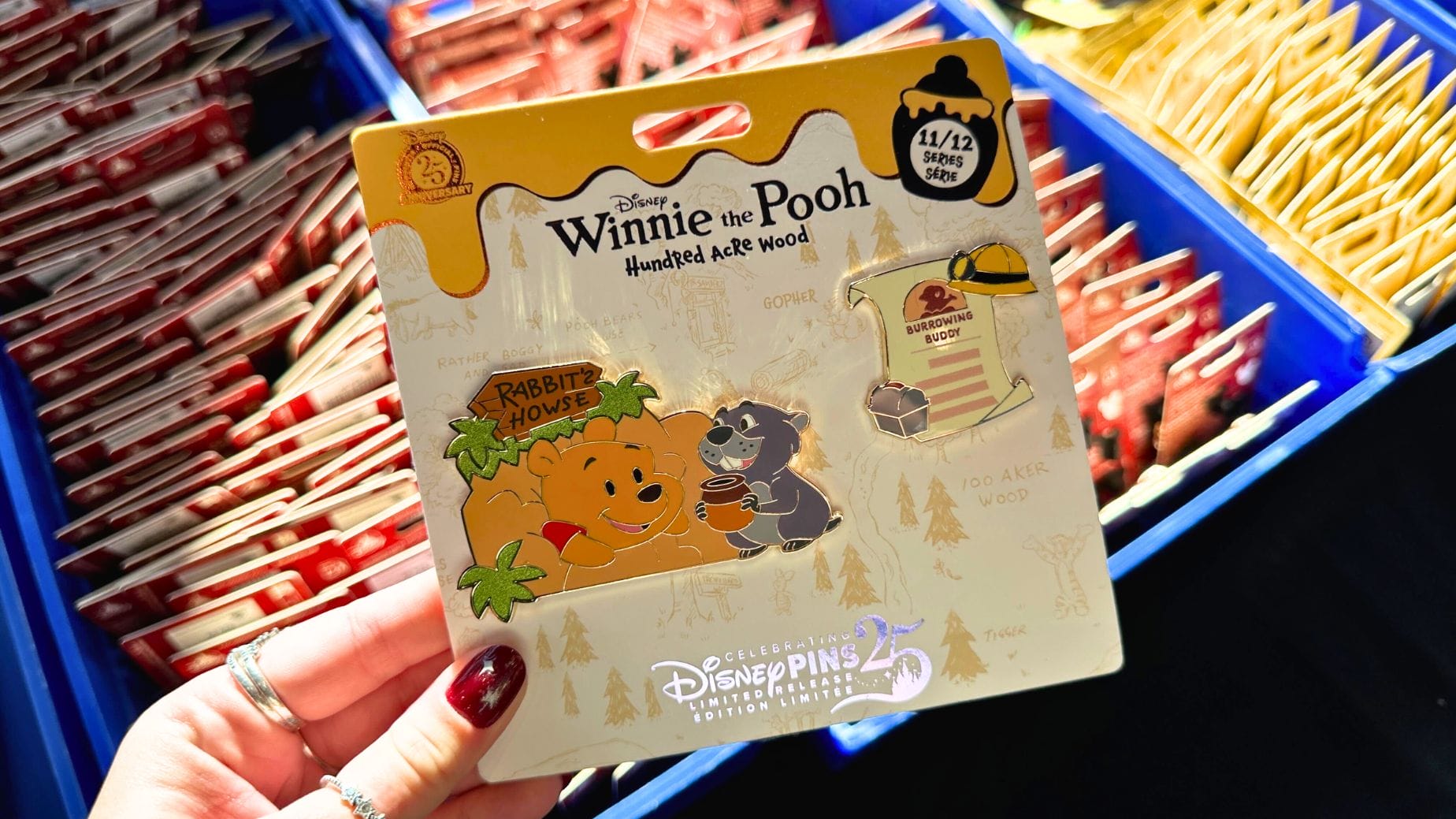 Pin Tuesday at Disney World: Winnie the Pooh