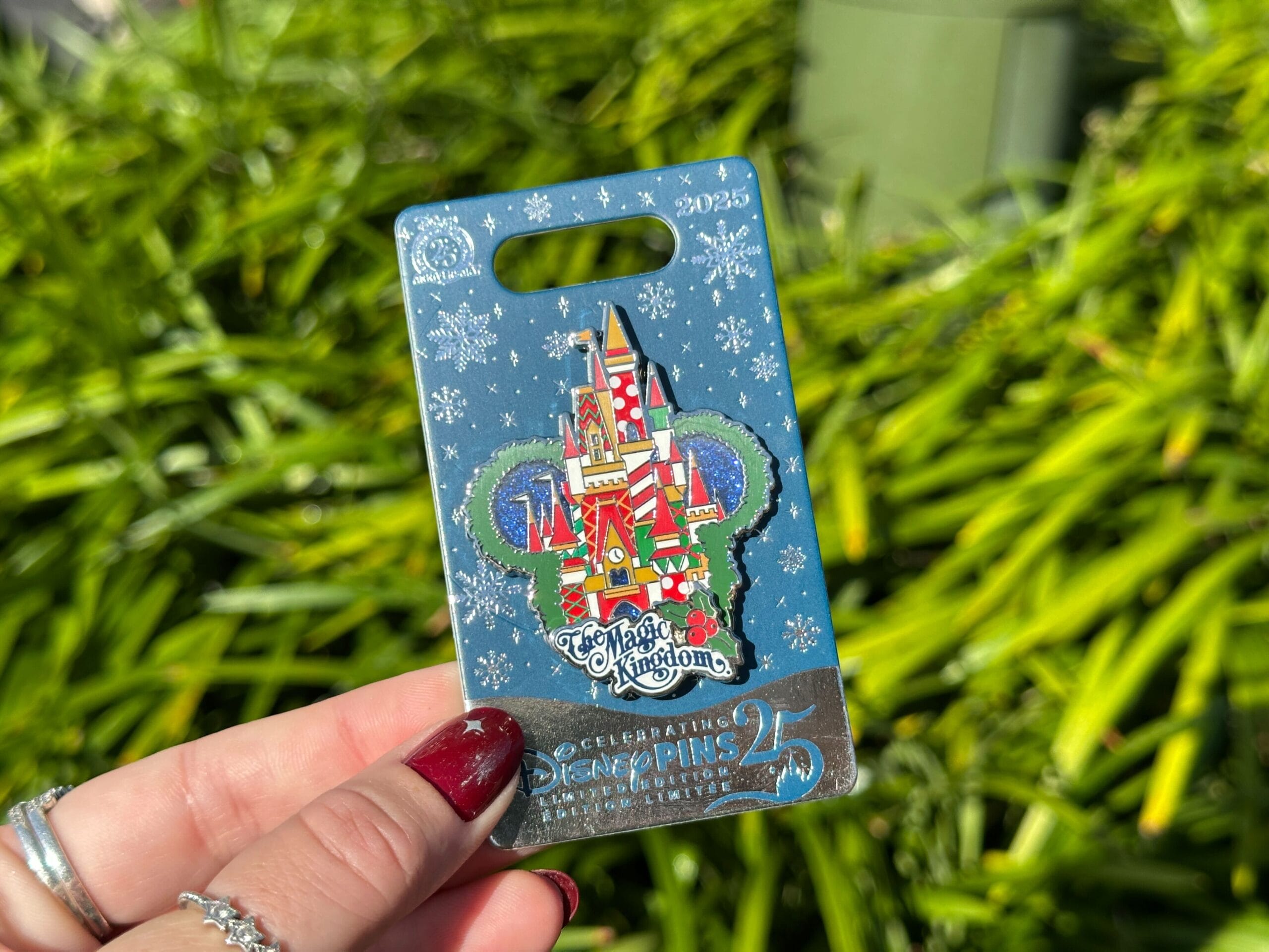 Pin Tuesday at Disney World: Christmas