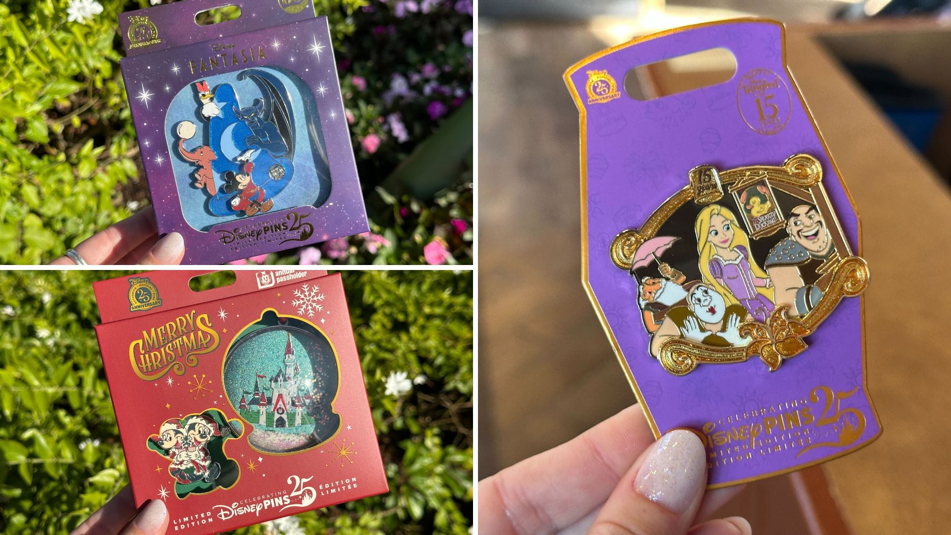 Walt Disney World pin tuesday