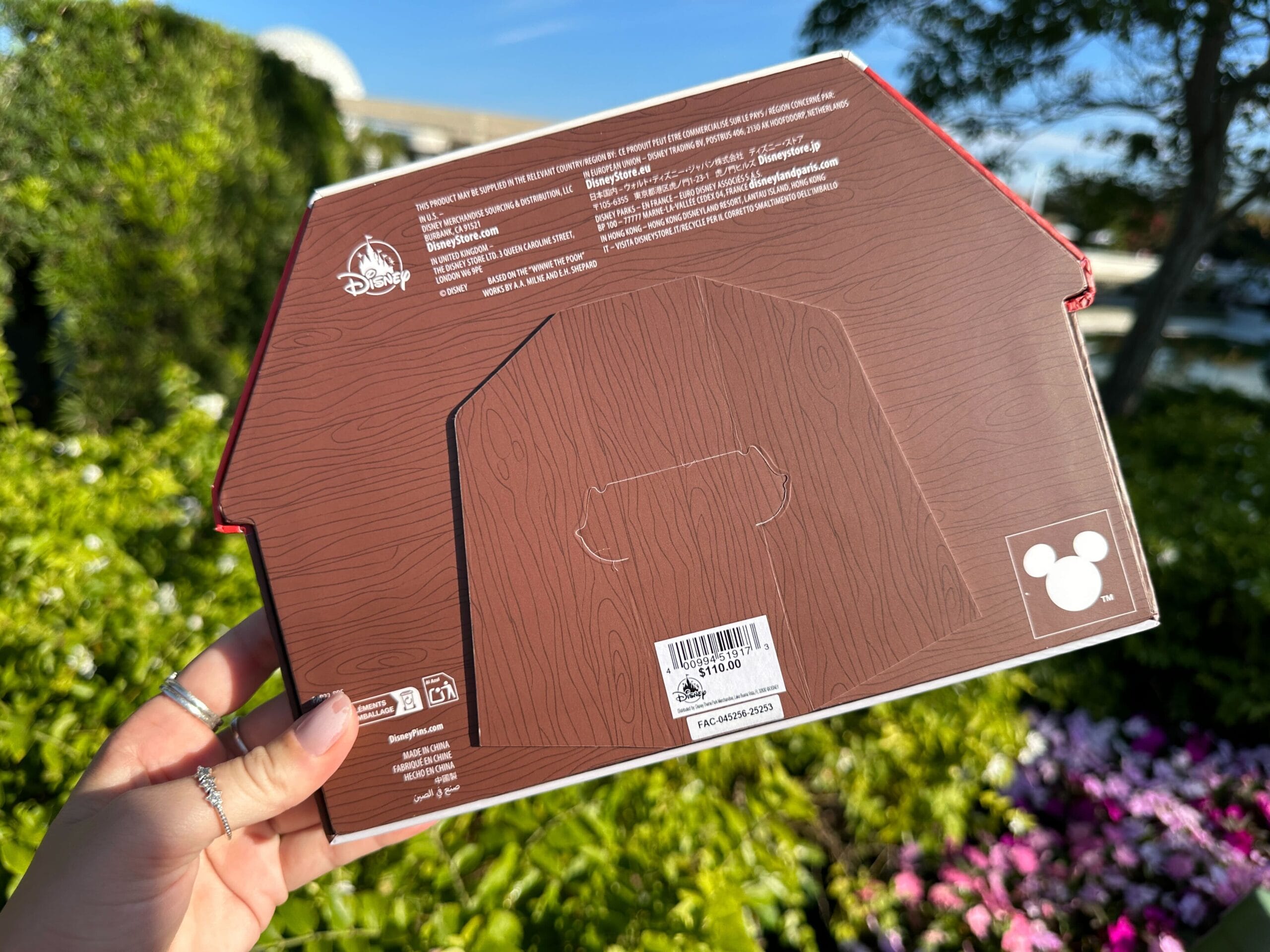 Walt Disney World Pin Tuesday: New Holiday House Set