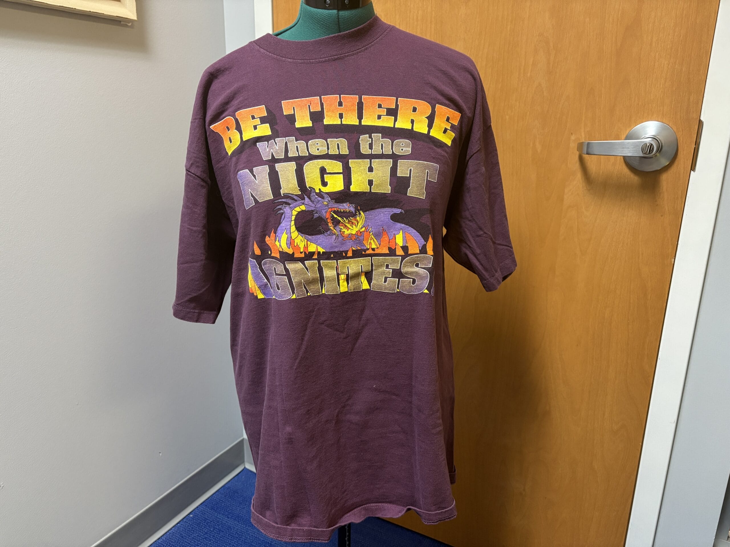 WDWNT Holiday Auction item