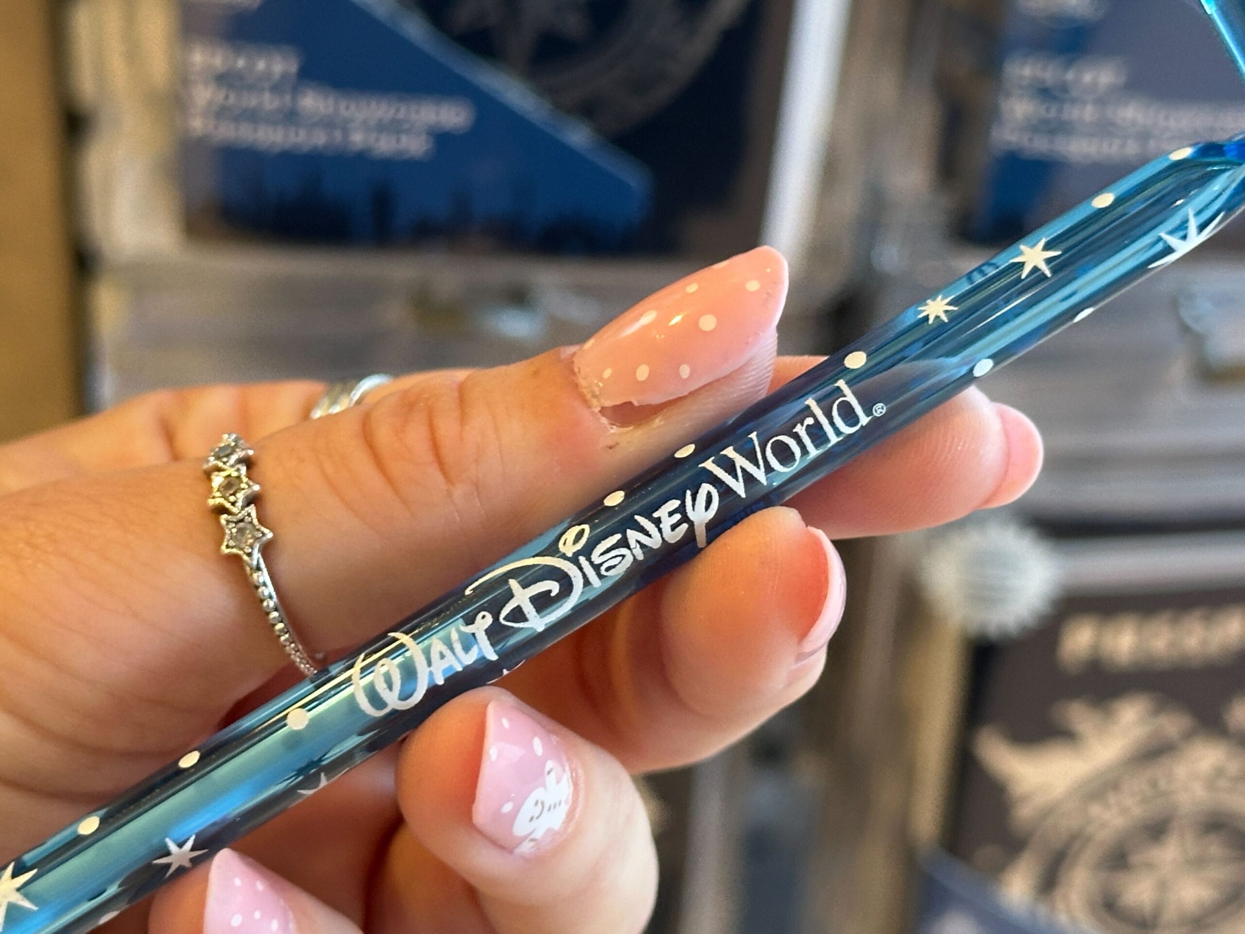 Walt Disney World logo on Cinderella slipper pen.