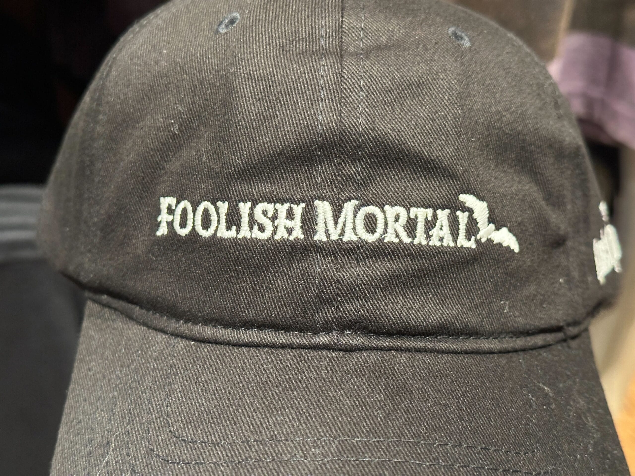 Foolish mortal baseball cap seen from the front