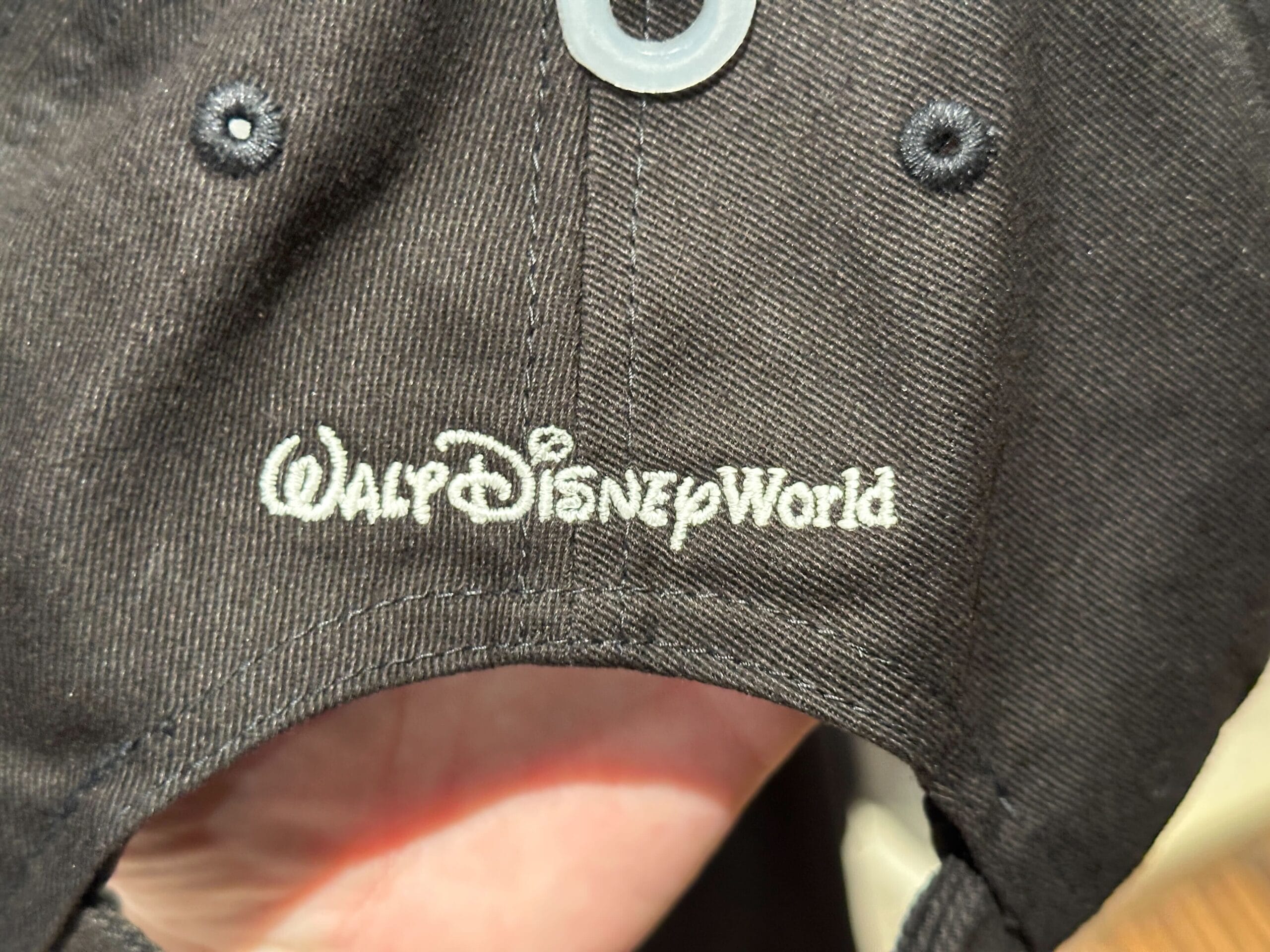 Foolish mortal baseball cap seen from the back