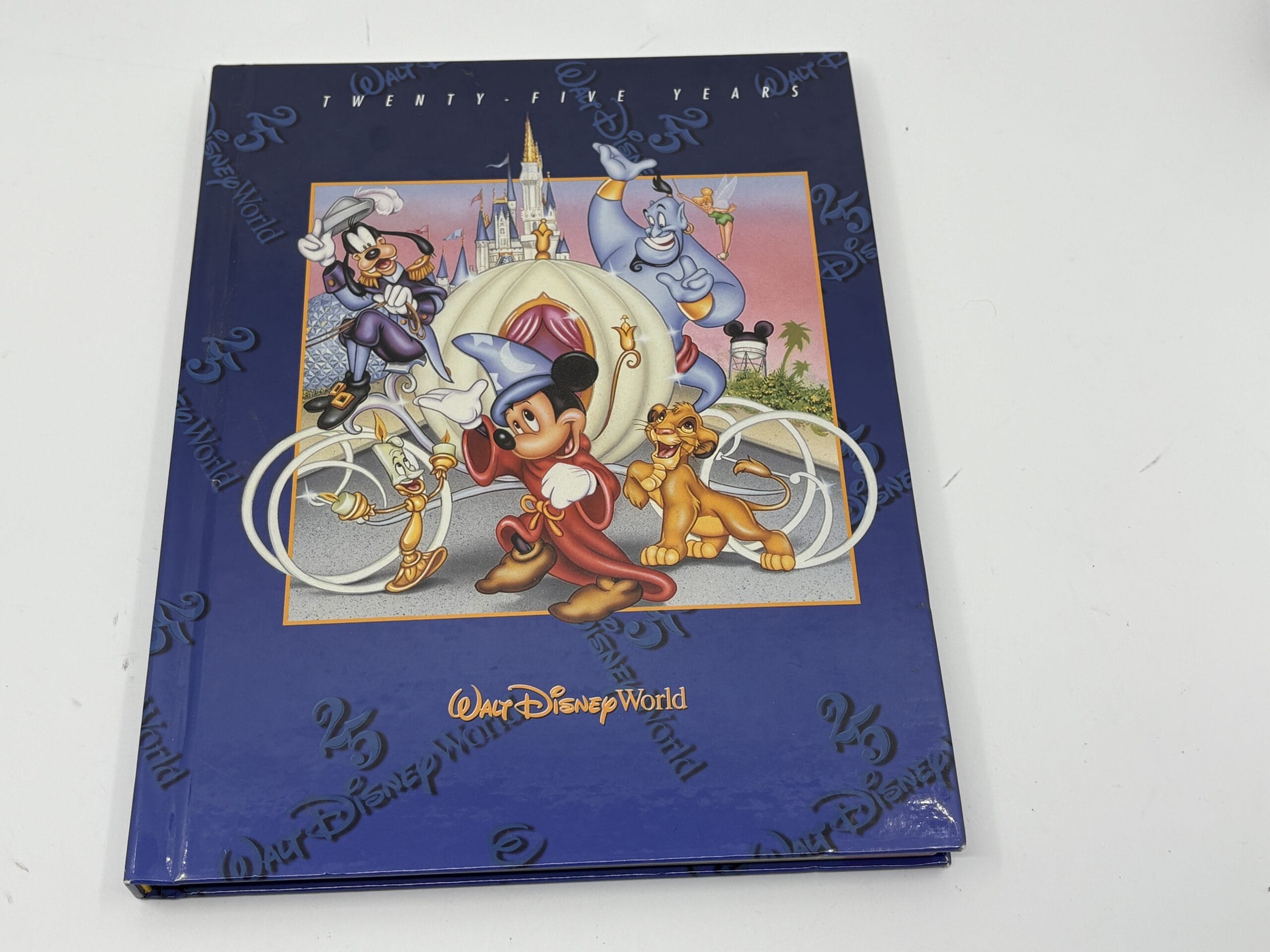 WDWNT Holiday Auction item