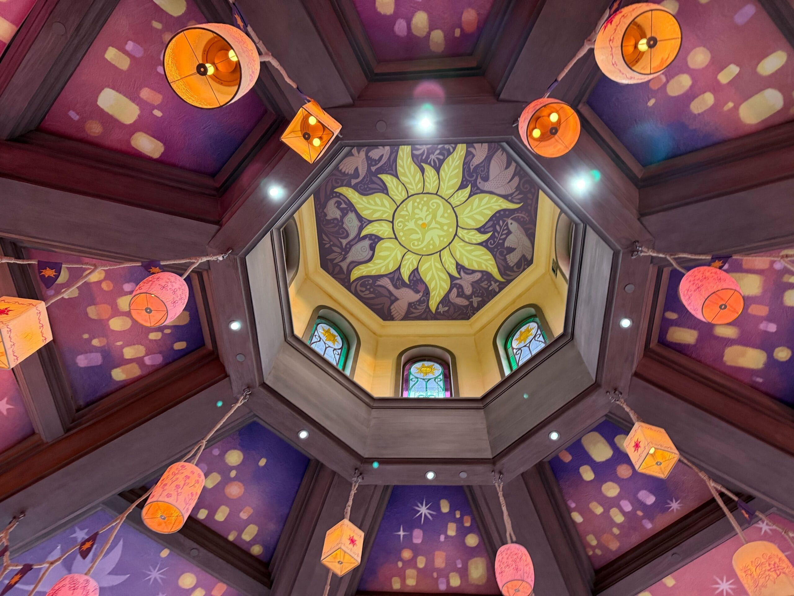 the roof of raiponce tangled spin