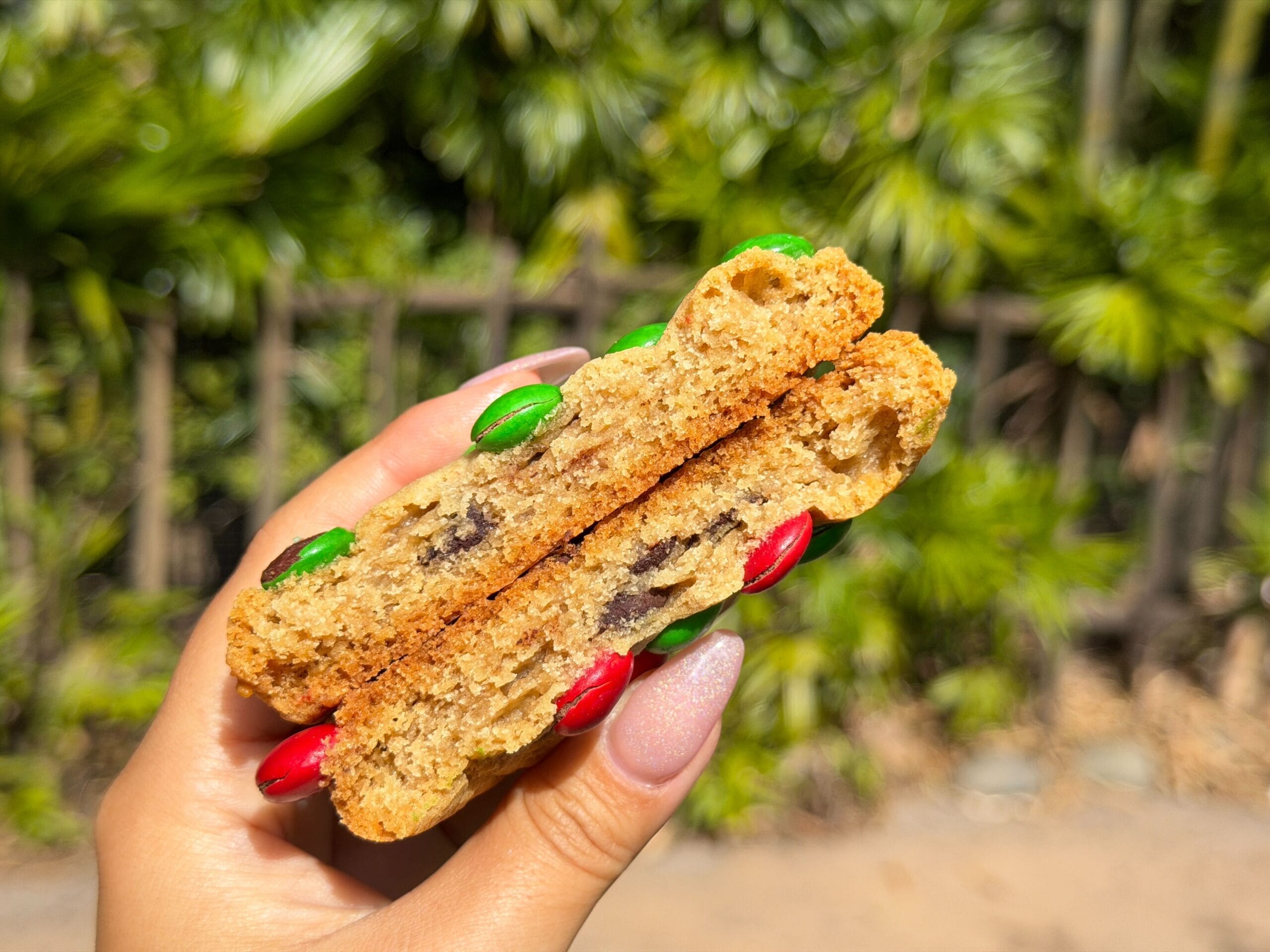 In honor of the holiday season, a new M&M cookie is available at various locations in Disney's Animal Kingdom.