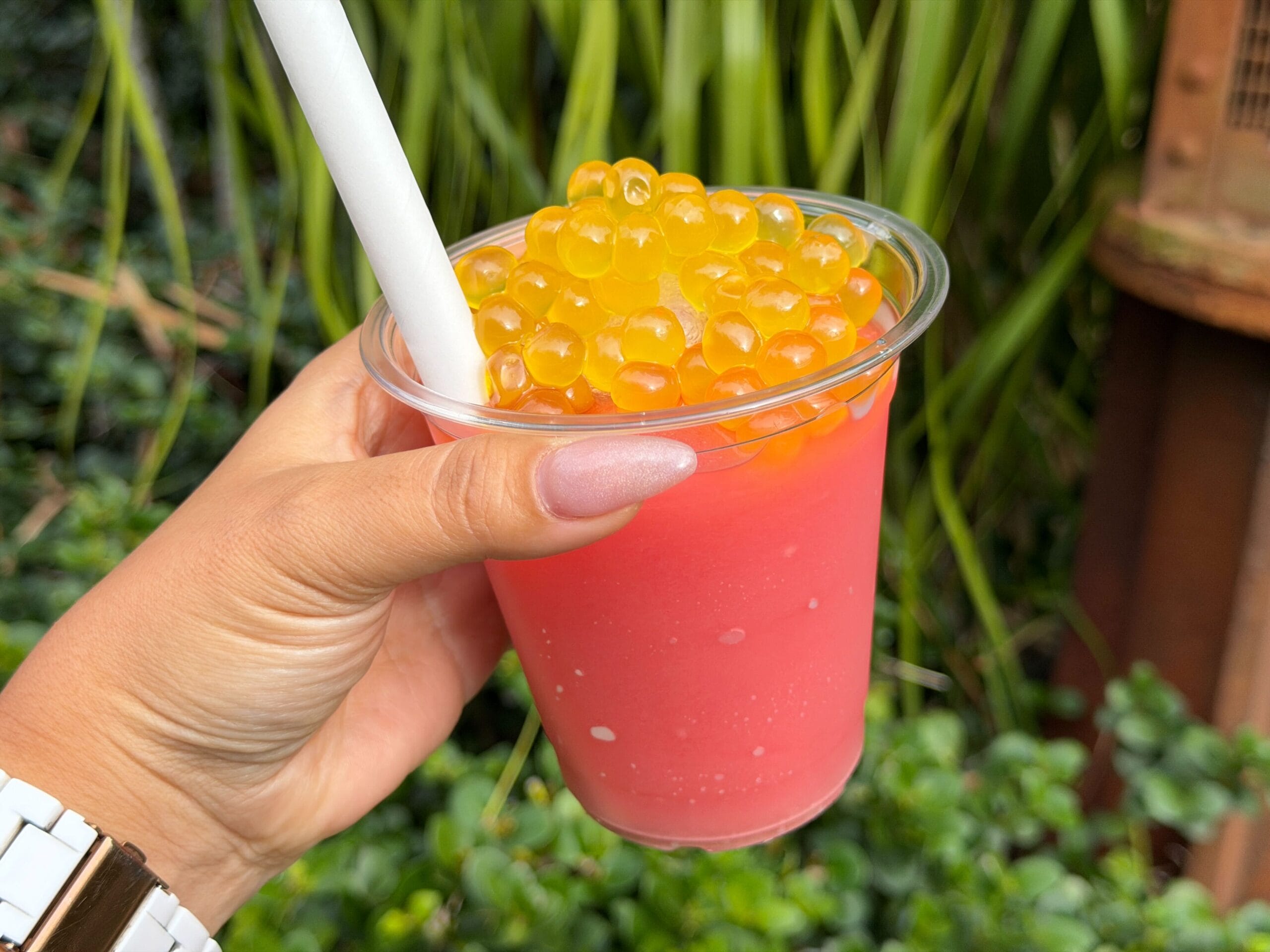 Nightwraith Blaze drink at Animal Kingdom