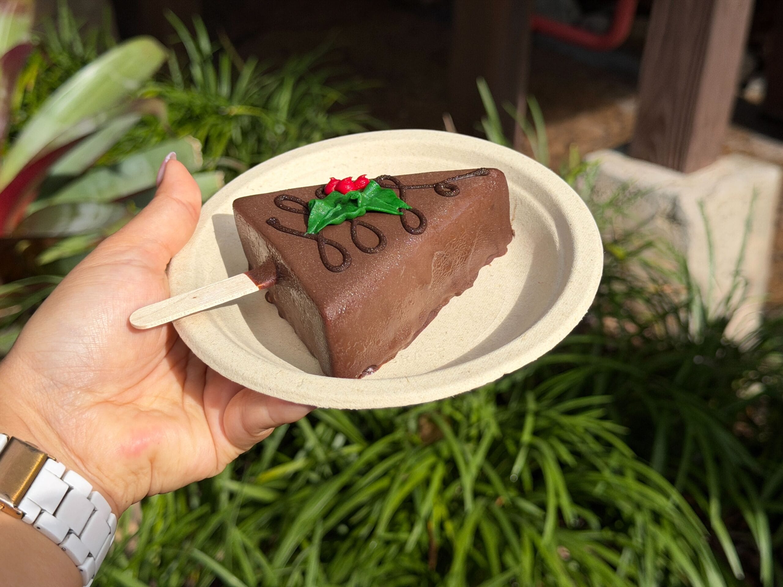 The Cranberry-Cherry Cheesecake Pop from Animal Kingdom