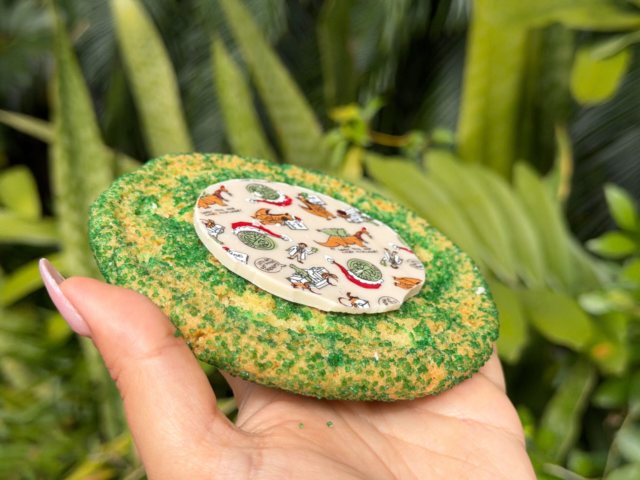 Sugar Cookie at Animal Kingdom