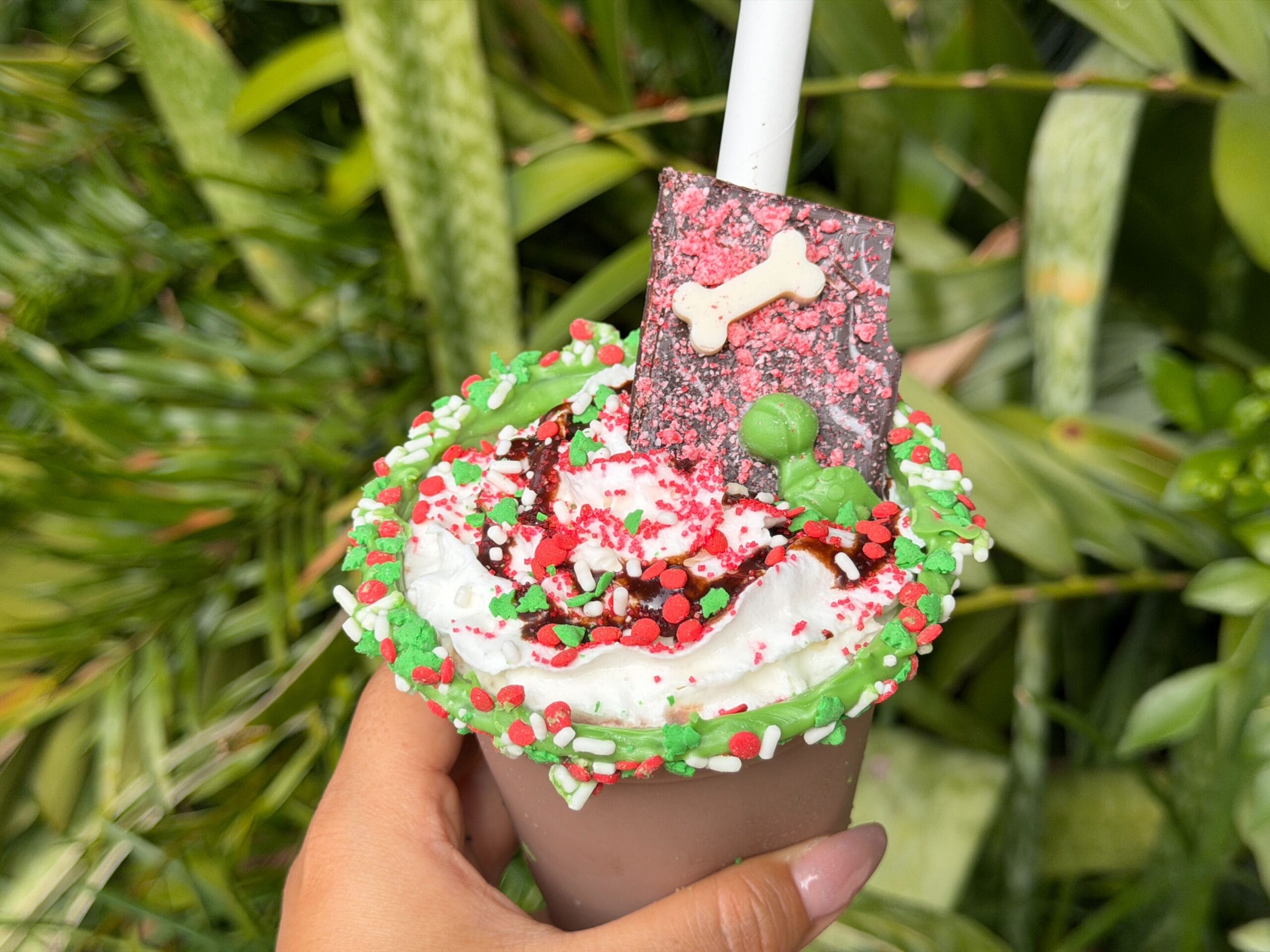 Frozen Hot Cocoa at Animal Kingdom