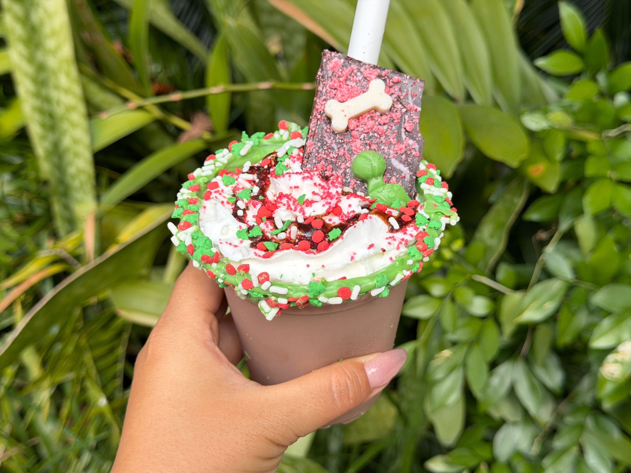 Frozen Hot Cocoa at Animal Kingdom