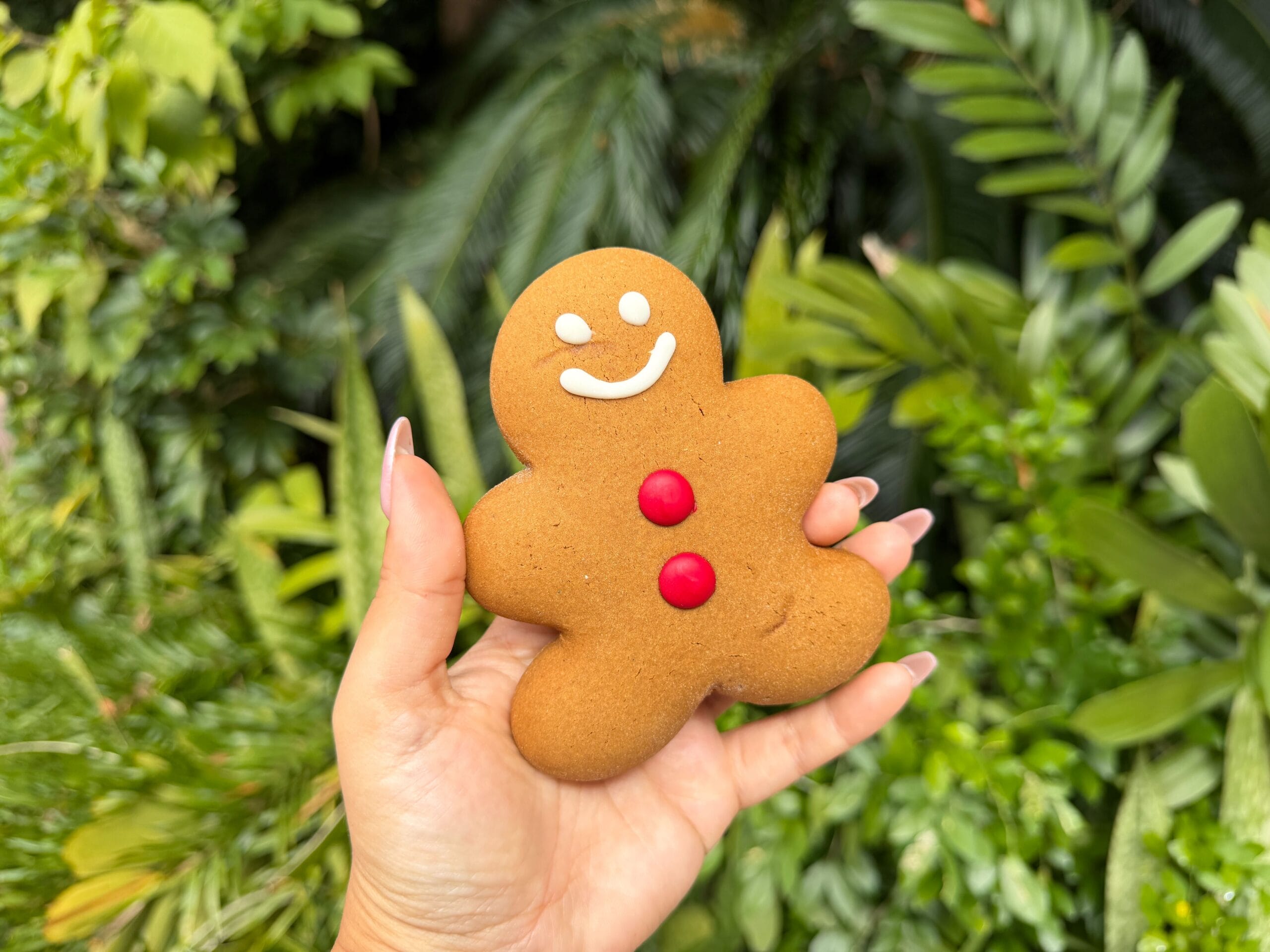 Gingerbread Cookie at Animal Kingdom