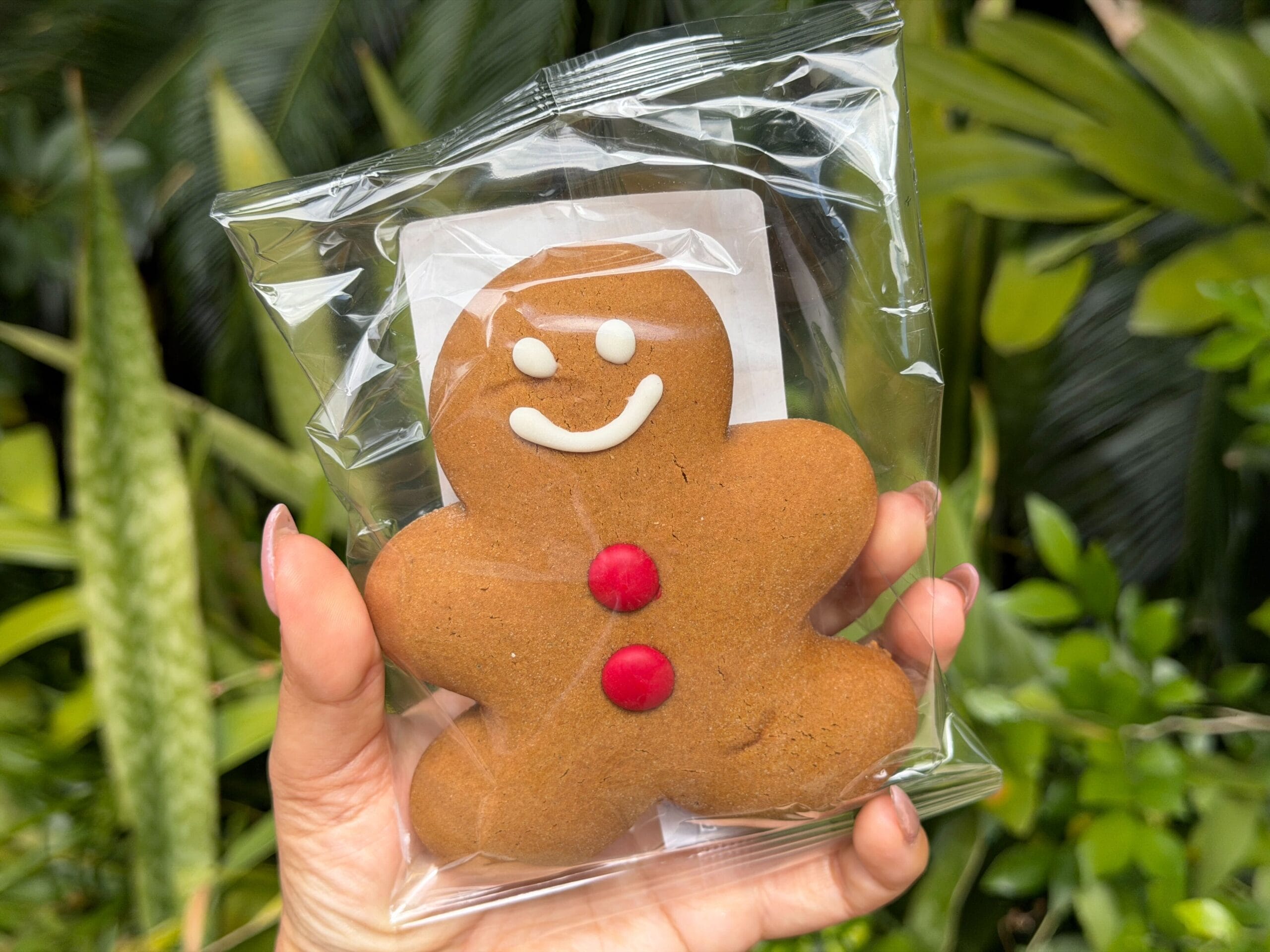 Gingerbread Cookie at Animal Kingdom