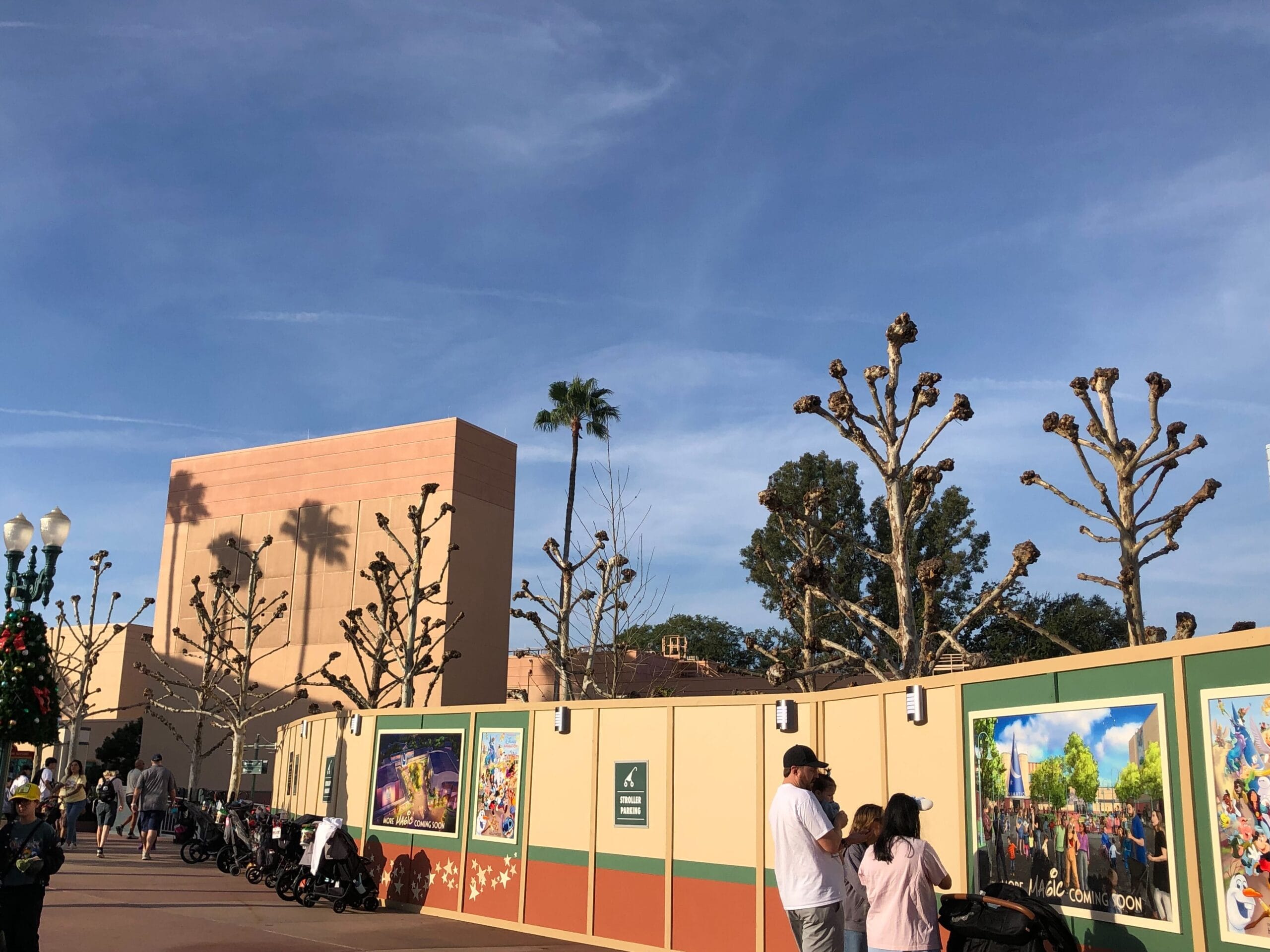 The trees inside Animation Courtyard are looking a lot more bare as they have been trimmed down to just the branches.