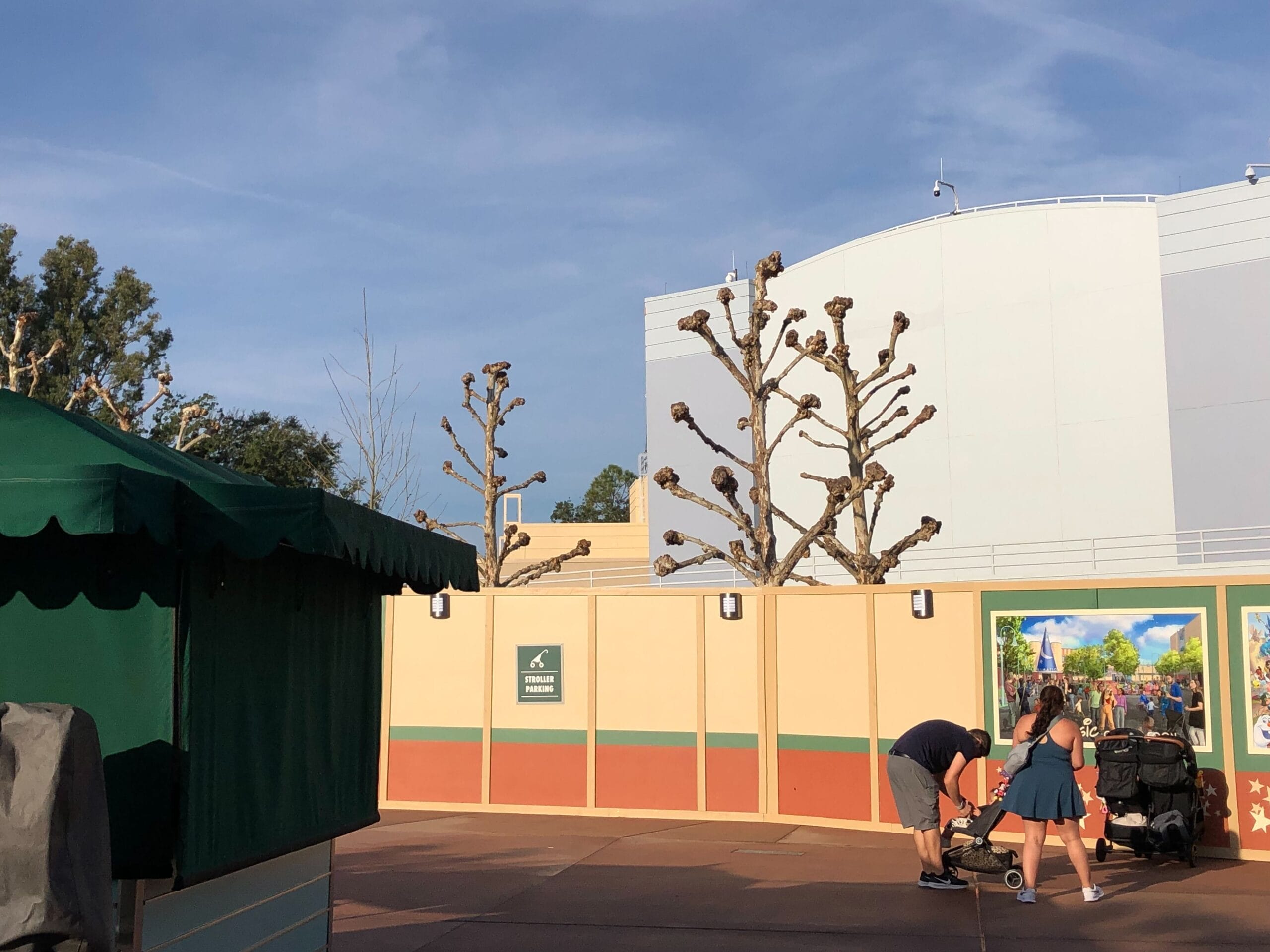 The trees inside Animation Courtyard are looking a lot more bare as they have been trimmed down to just the branches.