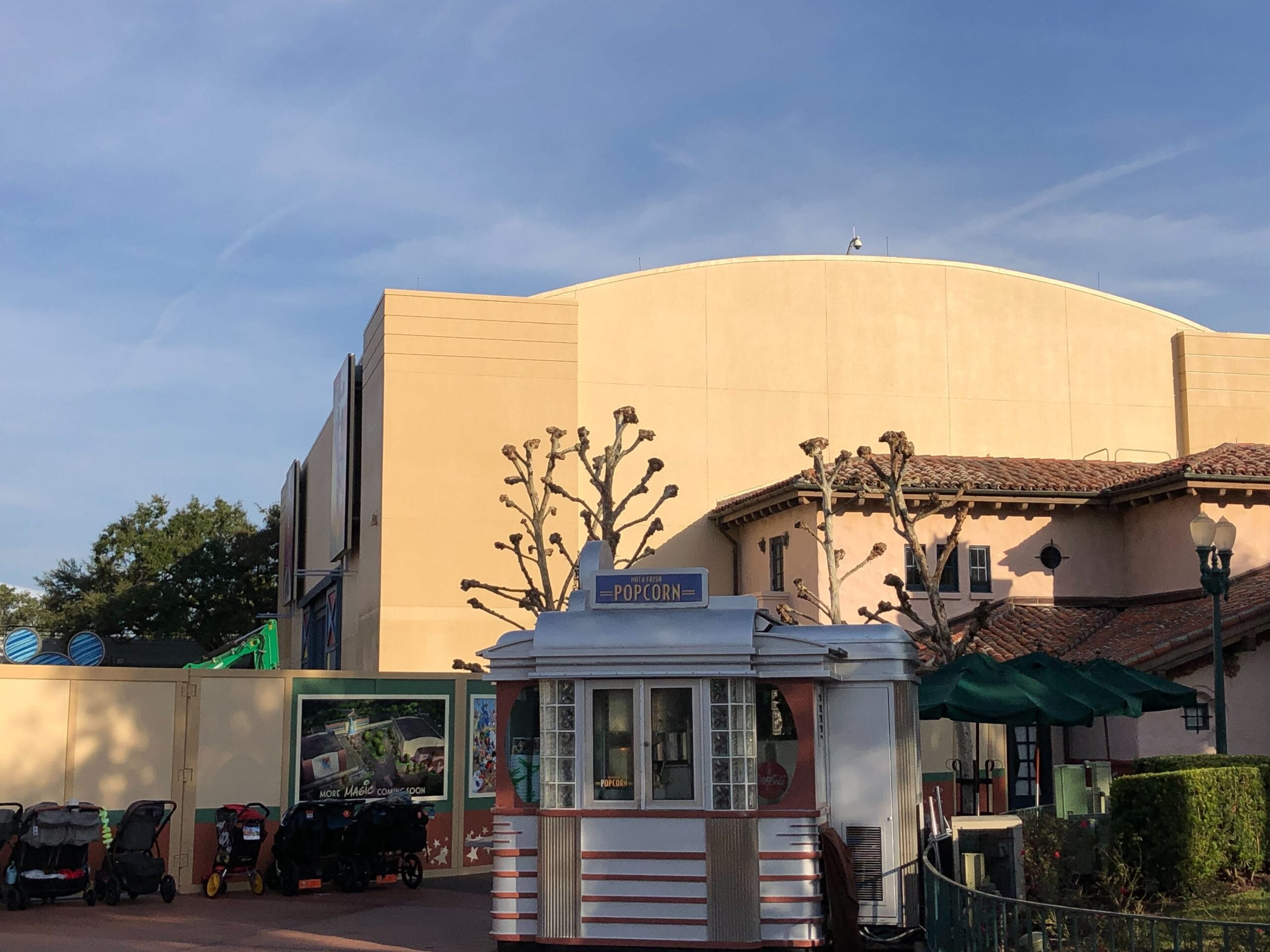 The trees inside Animation Courtyard are looking a lot more bare as they have been trimmed down to just the branches.