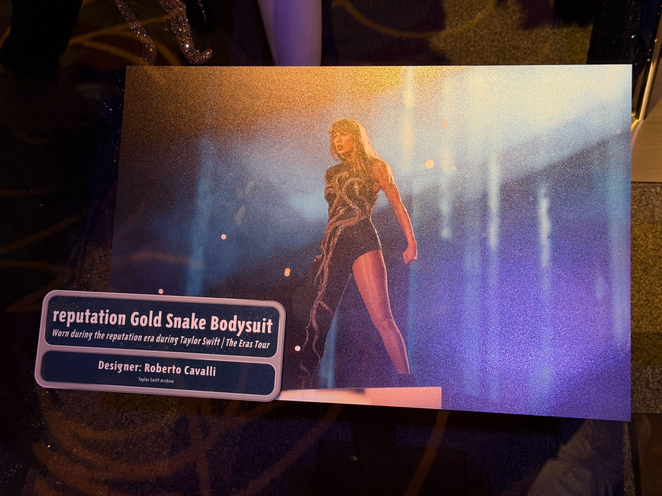 Taylor Swift Hollywood Studios Eras Tour Costumes