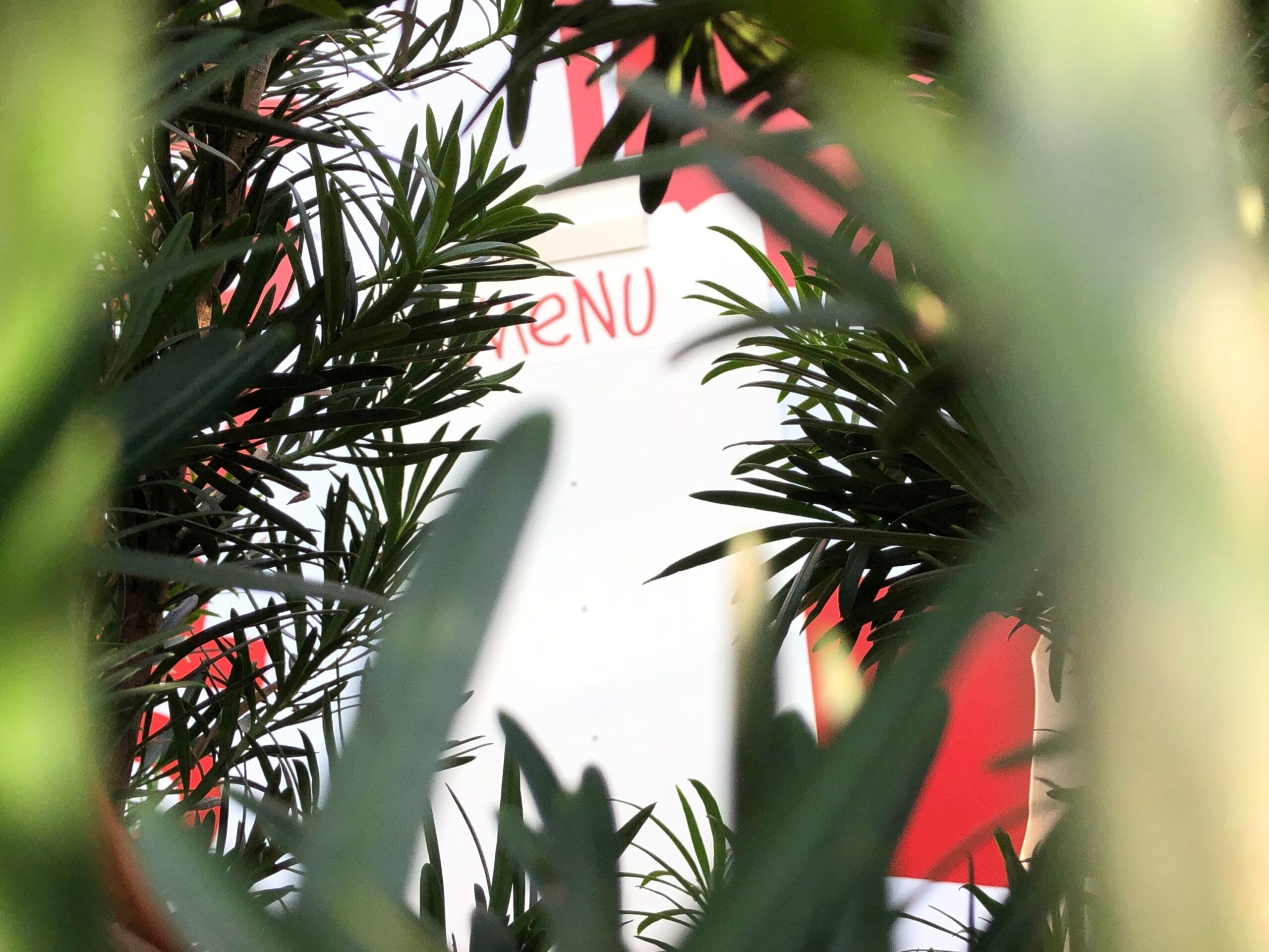 The menu display for the new Toy Story Land snack kiosk has been installed, but no menu items are available to view yet.