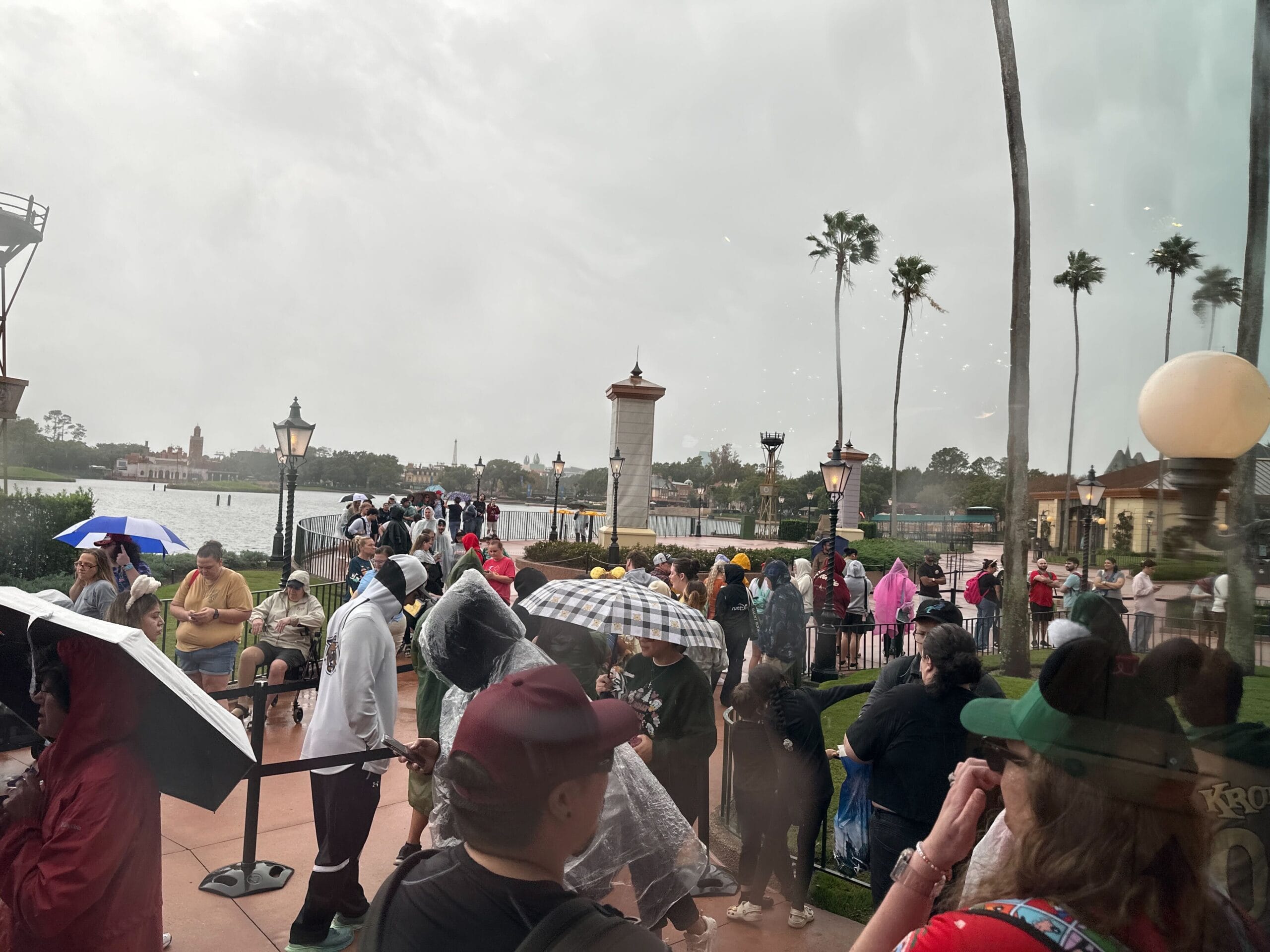 In the rain, the line to purchase pins at Disney Traders in EPCOT turned back on itself multiple times and still almost reached the Canada pavilion.