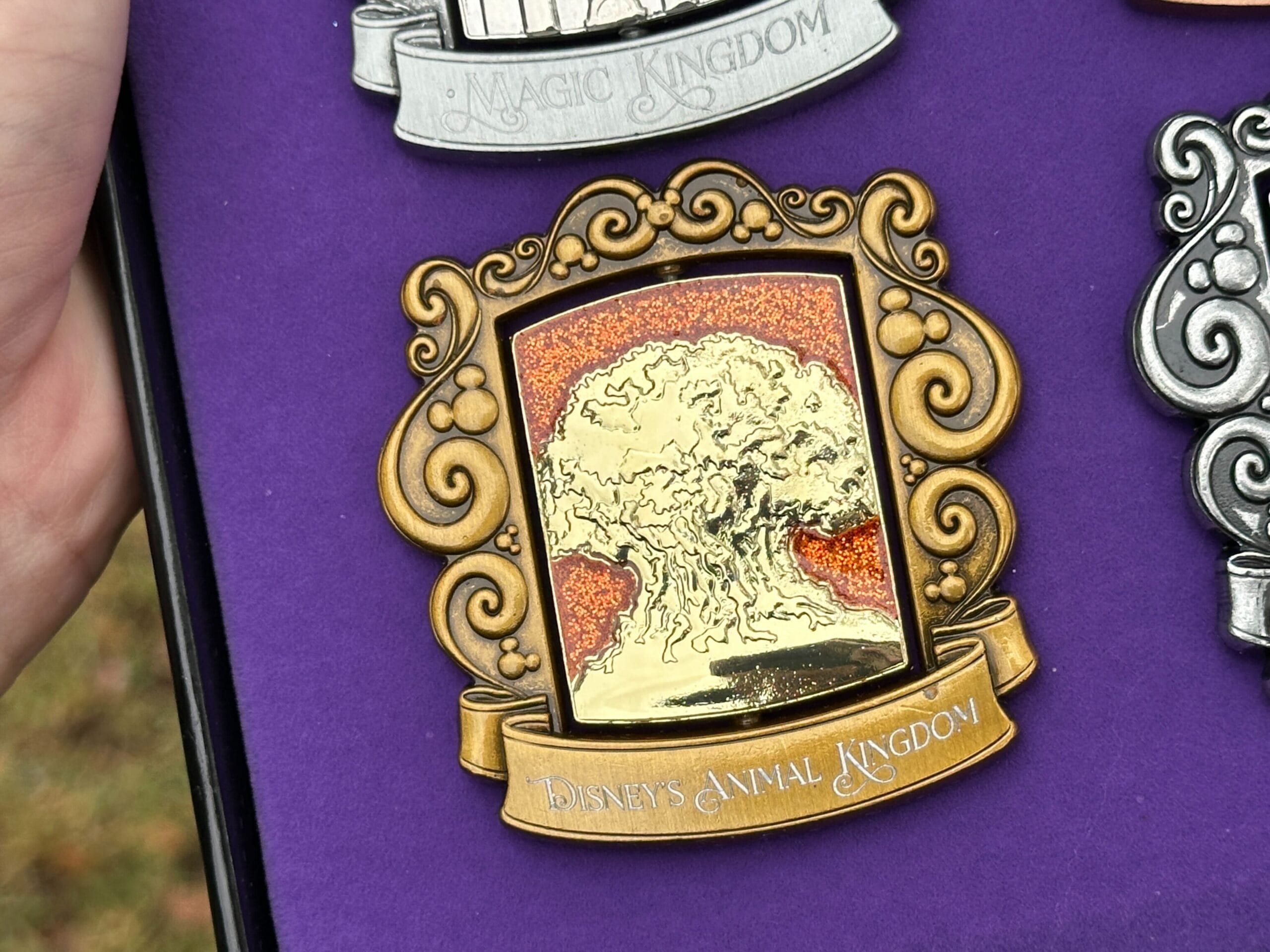 The Disney's Animal Kingdom pin has a gold finish with the Tree of Life in front of an orange sparkly background.