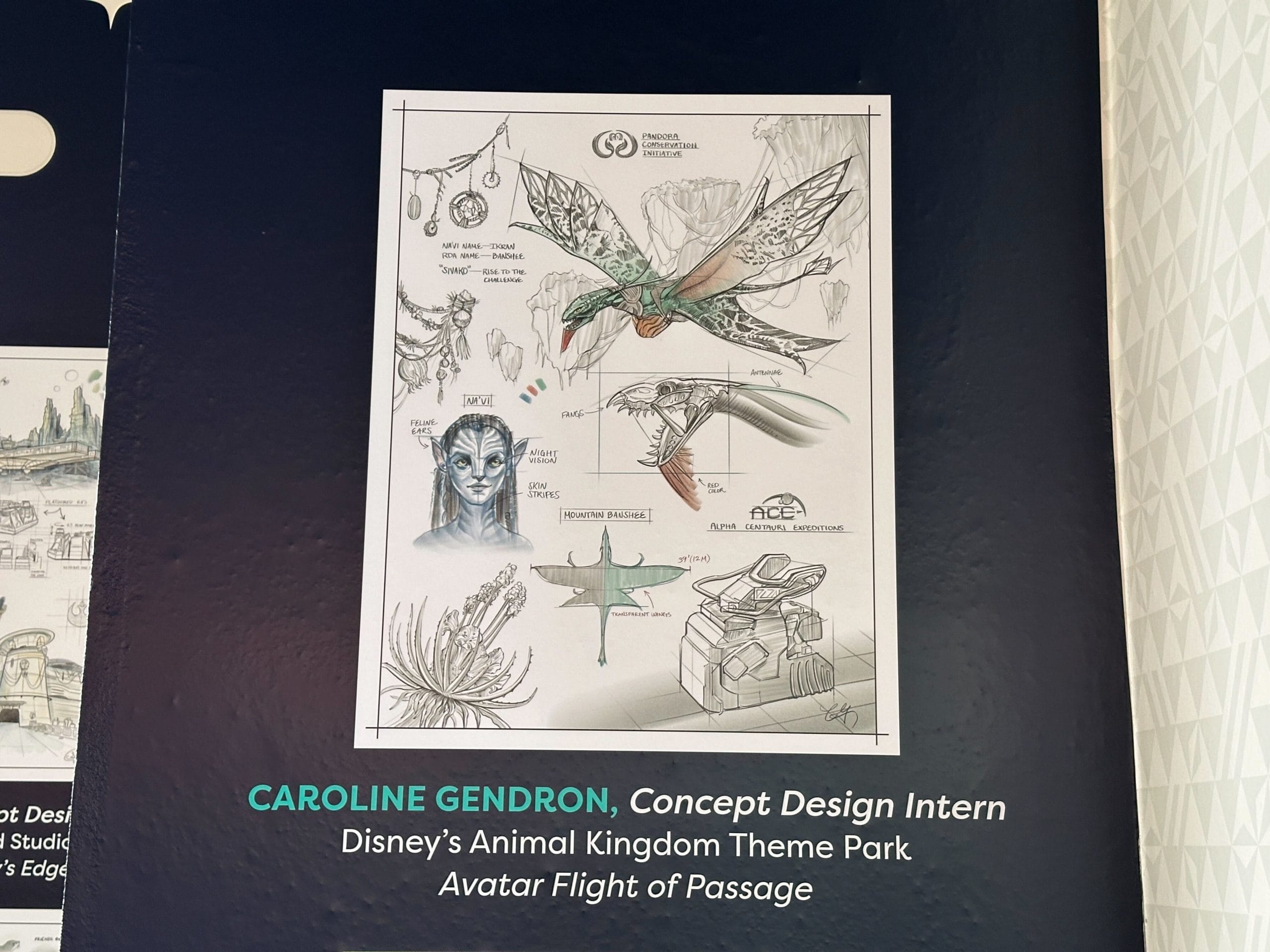 Drawn by Caroline Gendron, Concept Design Intern, it shows rockwork, plants, and the ride vehicle used for the attraction.